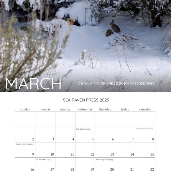 Mini 2025 Rocky Mountain Custom Wildlife Calendar For Small Spaces 11.5" x 8" - Picture 4 of 13